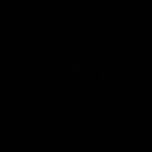 Meet your Posher, Rylee